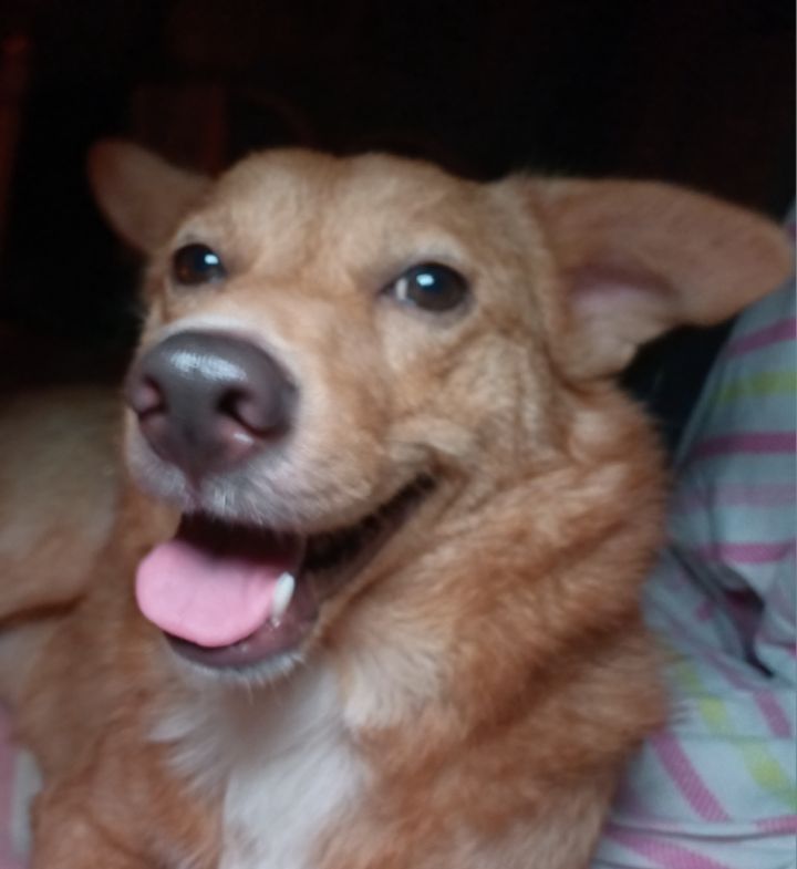 goodnovel comment avatar