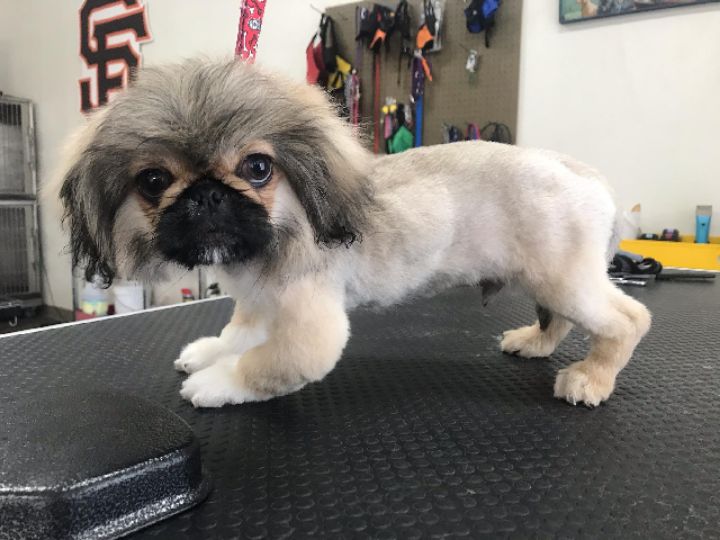 goodnovel comment avatar