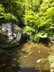 ともやな