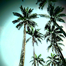 goodnovel comment avatar