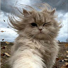 goodnovel comment avatar