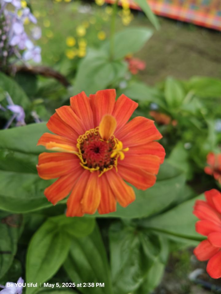 goodnovel comment avatar