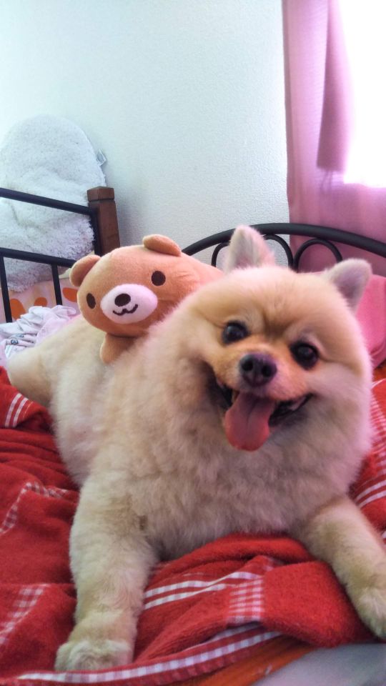 goodnovel comment avatar