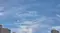 잔지수