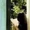 Yesha Wrights