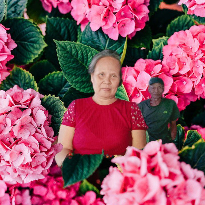 goodnovel comment avatar