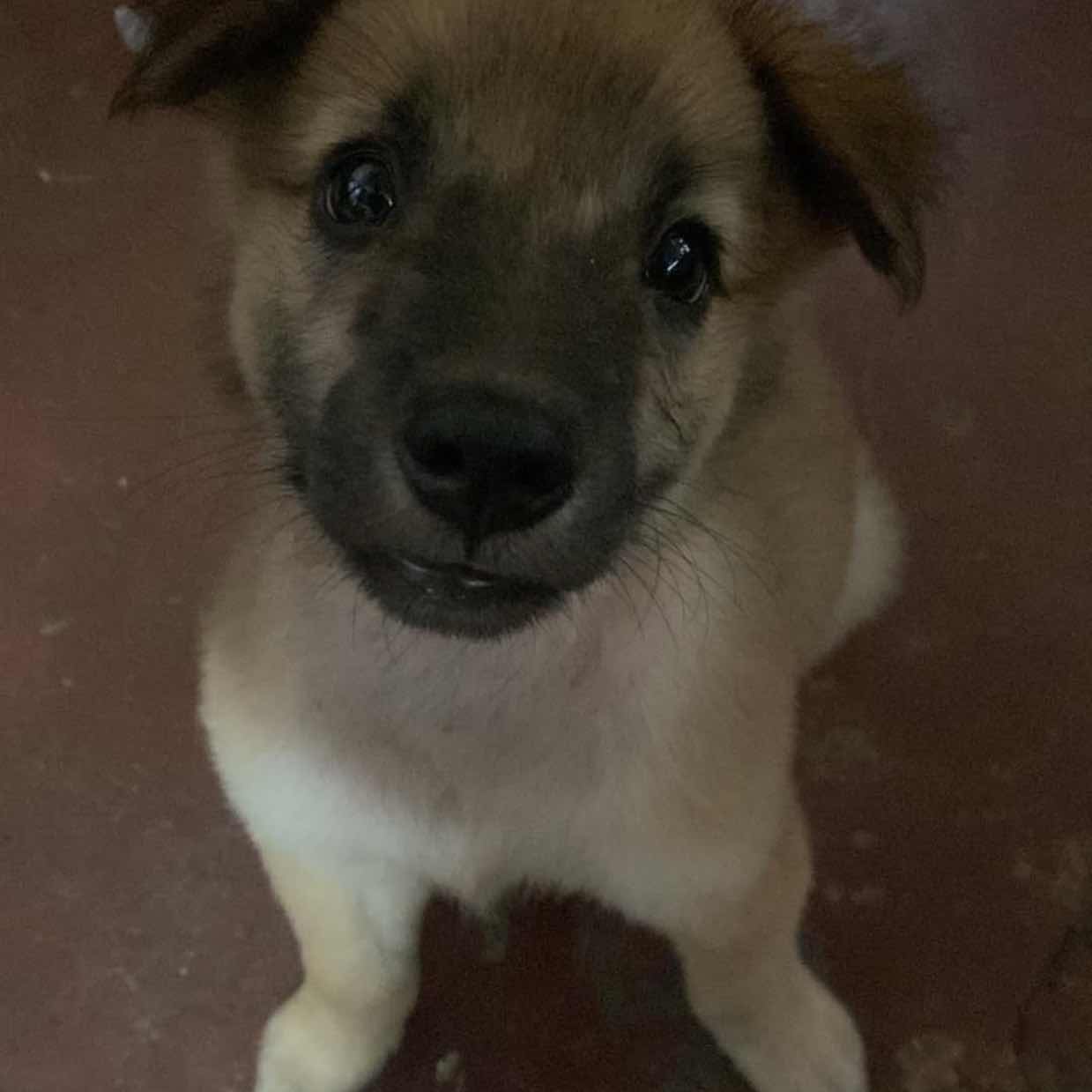 goodnovel comment avatar