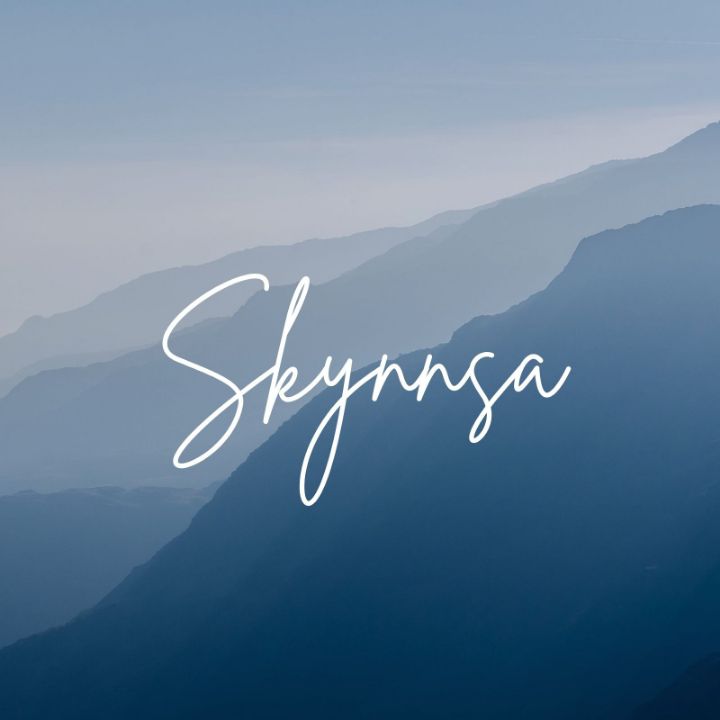skynnsa