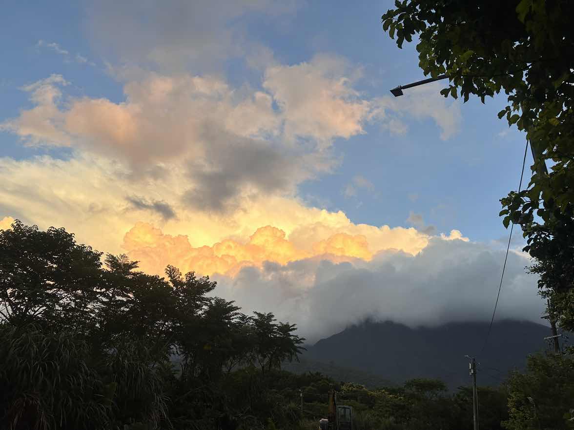 goodnovel comment avatar