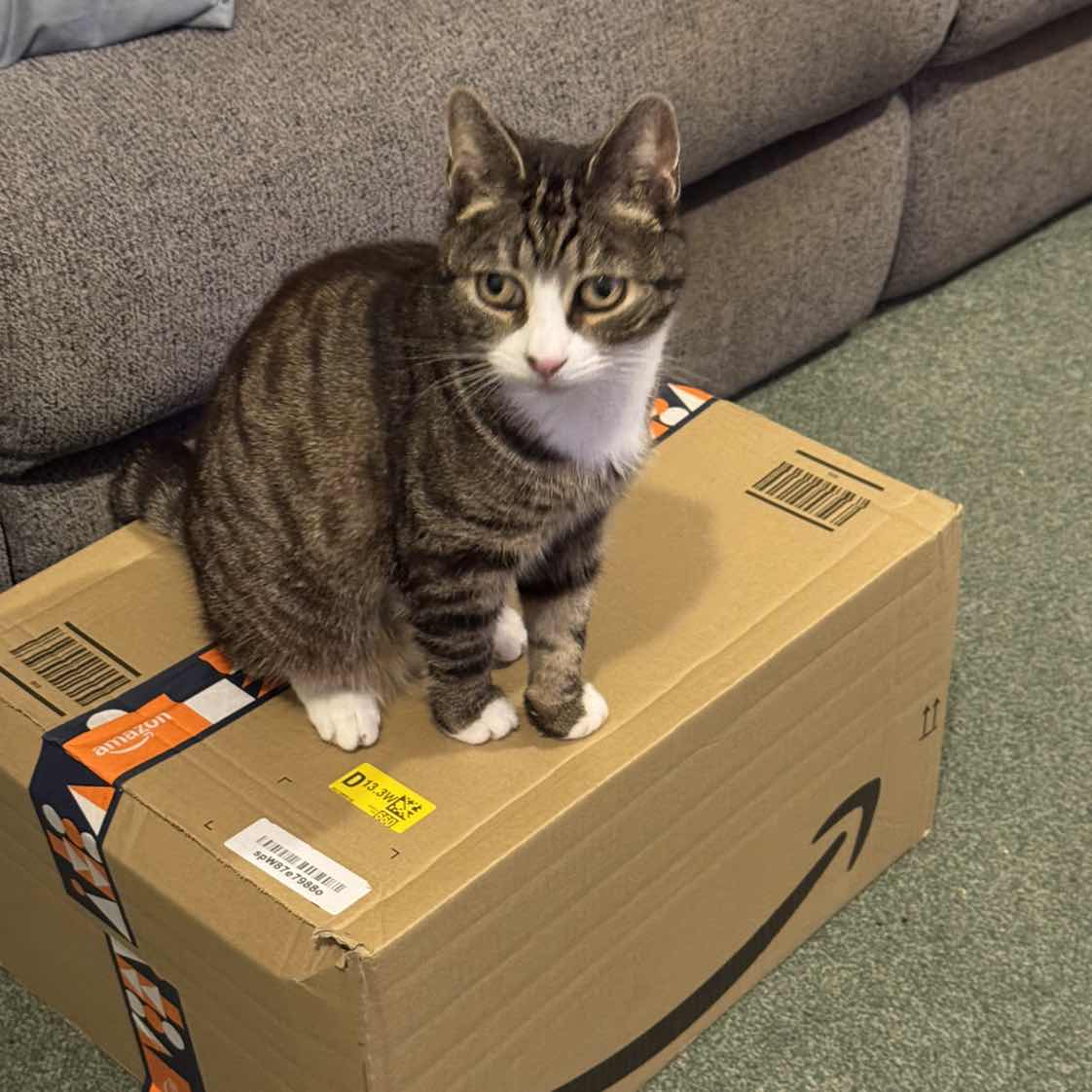 goodnovel comment avatar