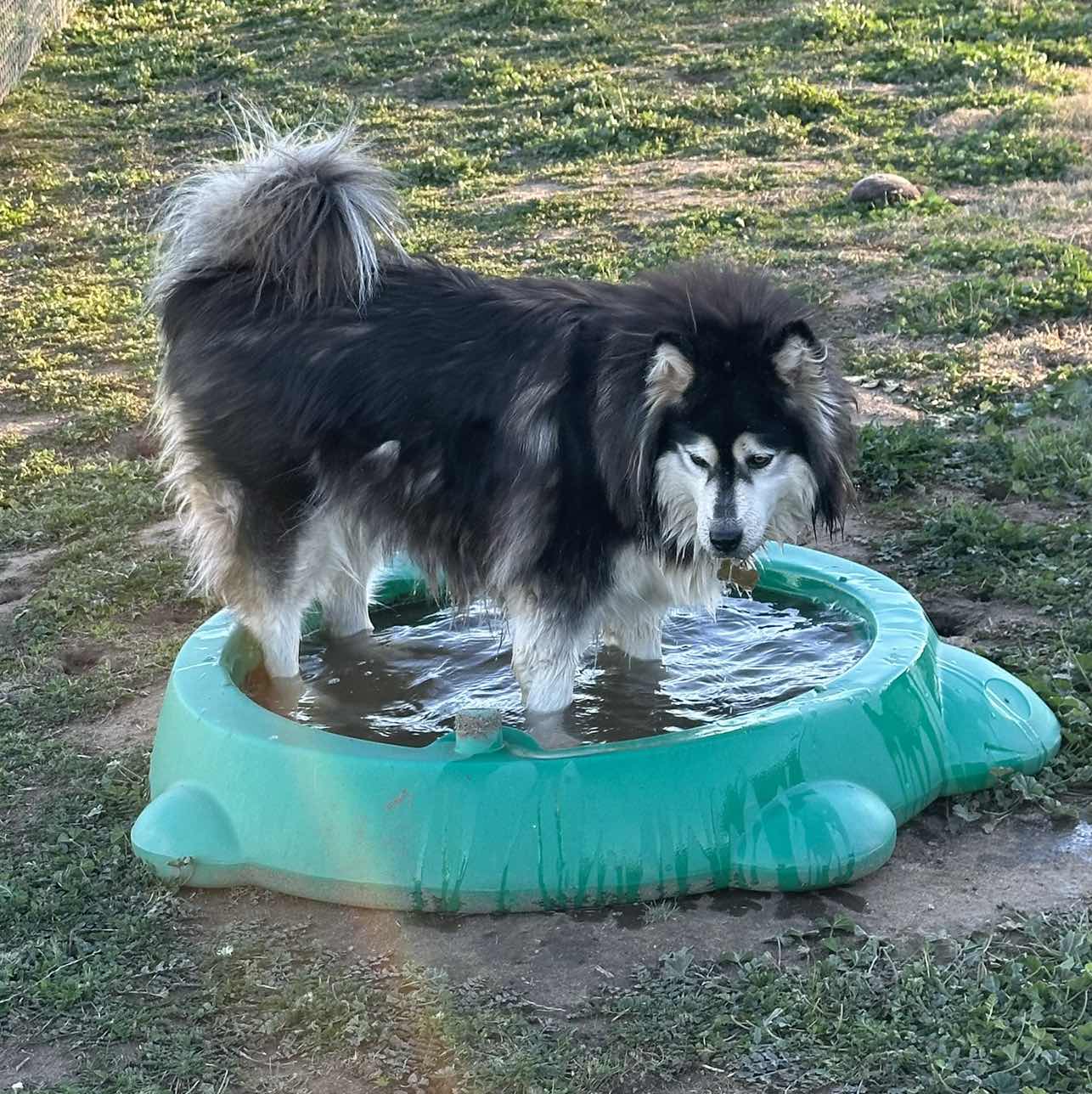 goodnovel comment avatar