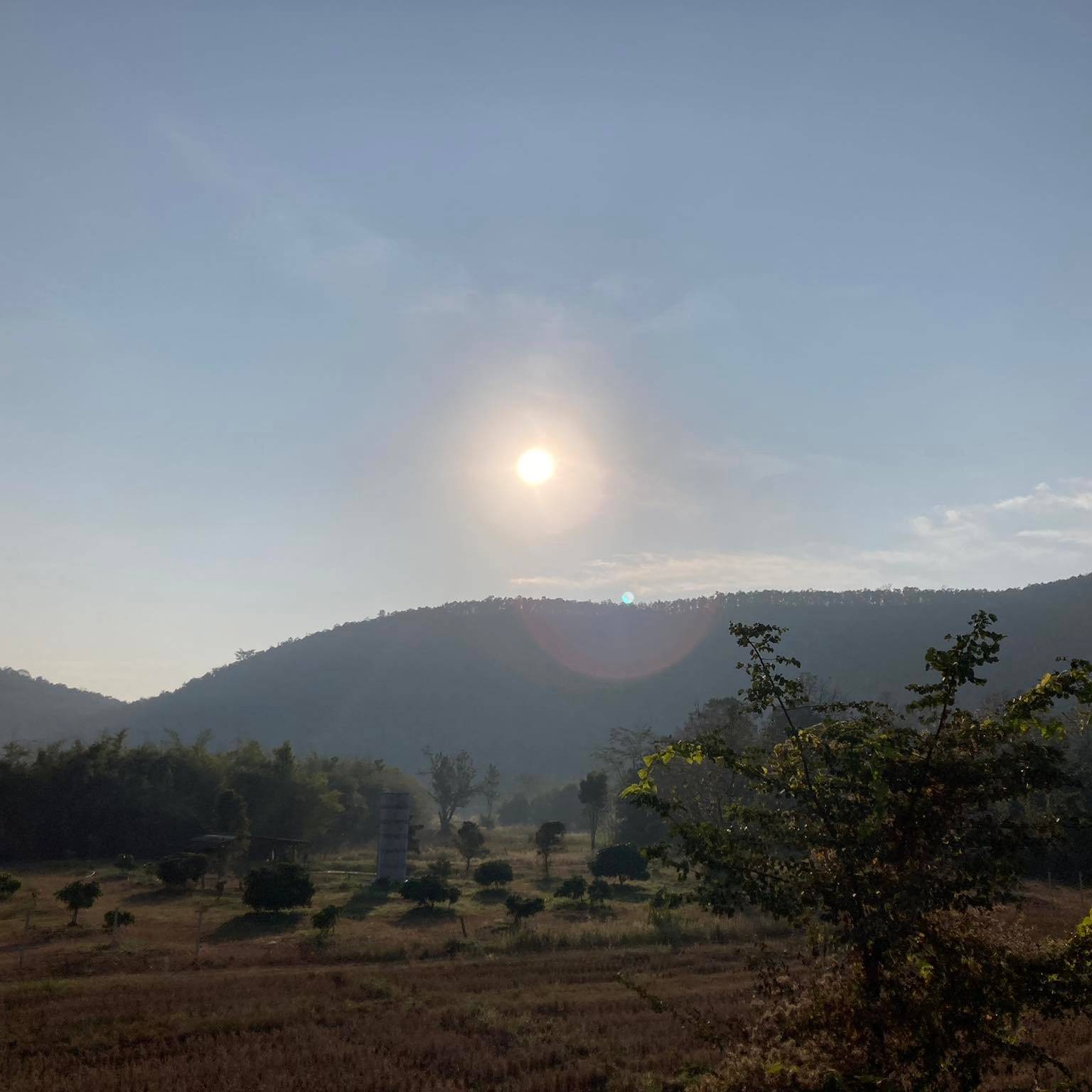 อตวสัตถา