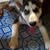 goodnovel comment avatar
