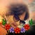 goodnovel comment avatar