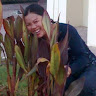 goodnovel comment avatar