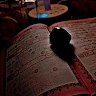 goodnovel comment avatar