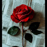 goodnovel comment avatar