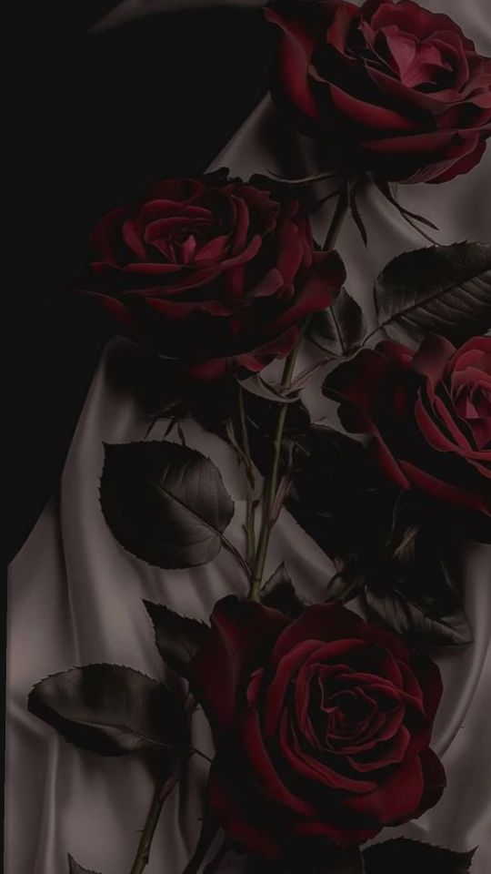 goodnovel comment avatar