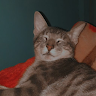 goodnovel comment avatar