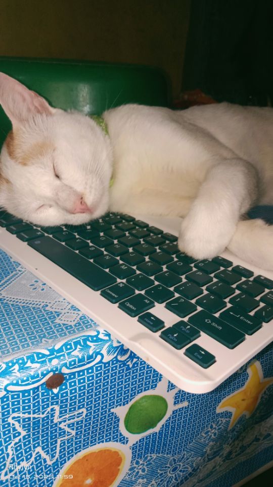 goodnovel comment avatar