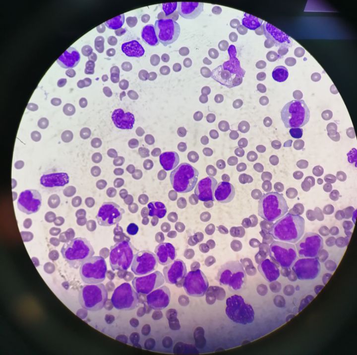 goodnovel comment avatar