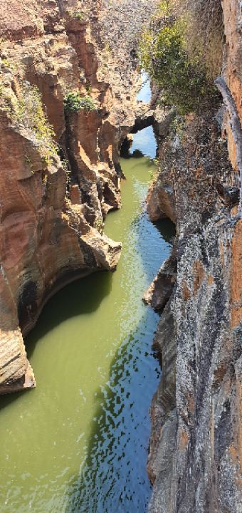 goodnovel comment avatar