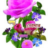 goodnovel comment avatar