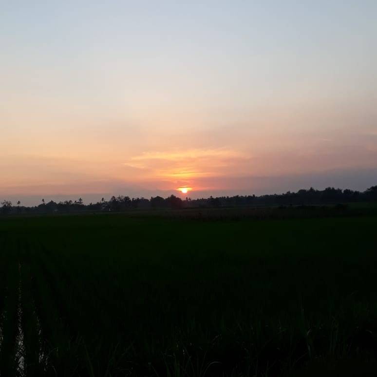 goodnovel comment avatar