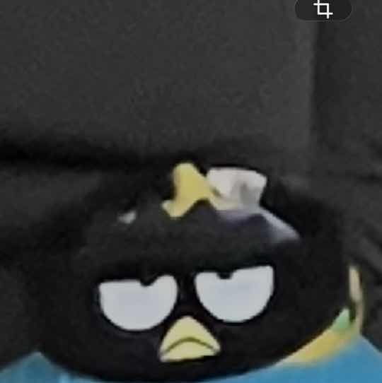 佐伯れもん