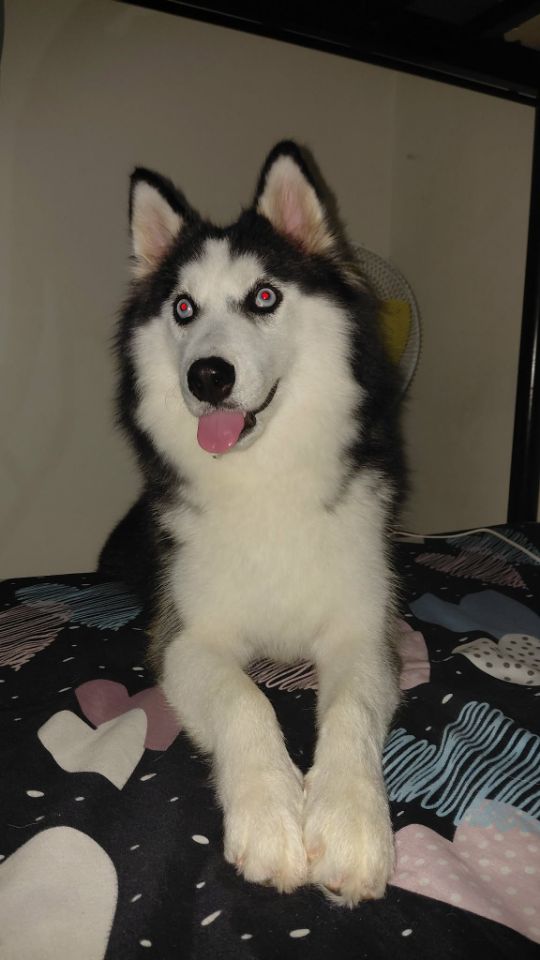 goodnovel comment avatar