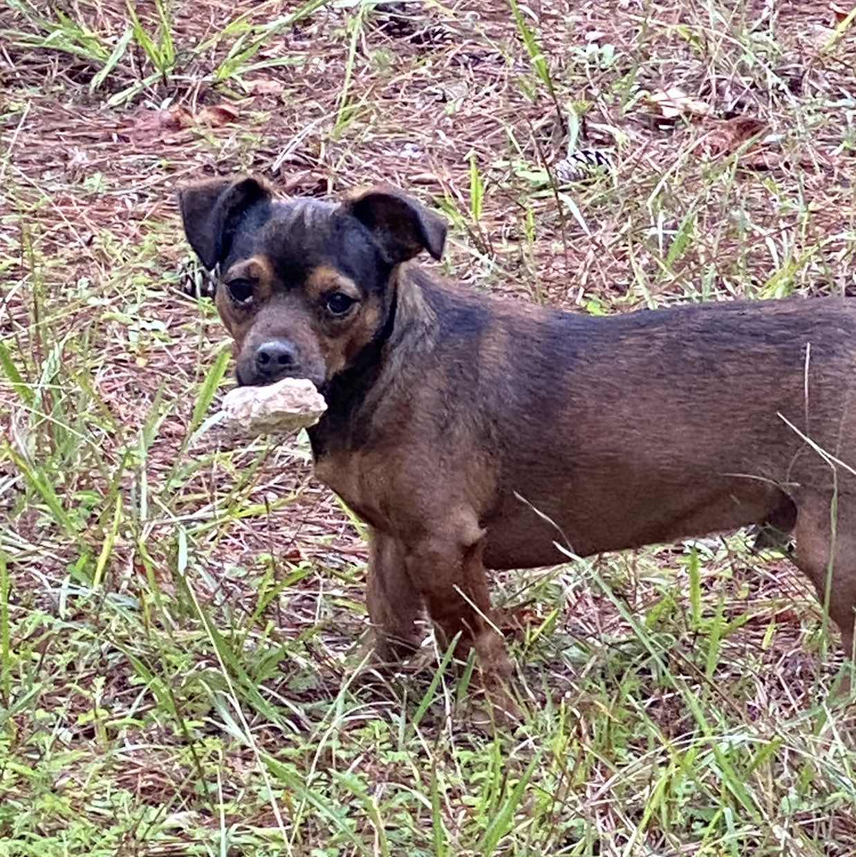 goodnovel comment avatar