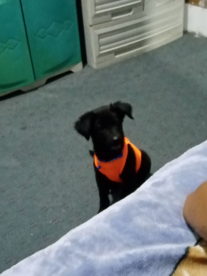 goodnovel comment avatar