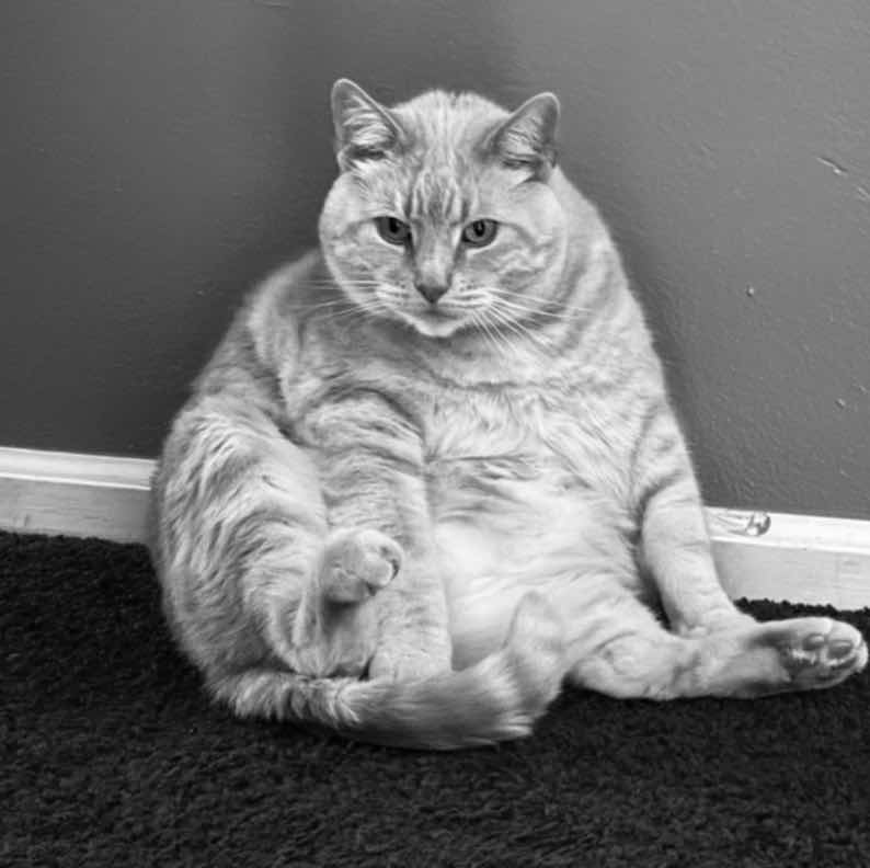 goodnovel comment avatar