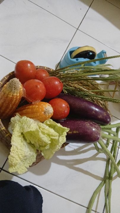 goodnovel comment avatar