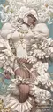 Alice Gome