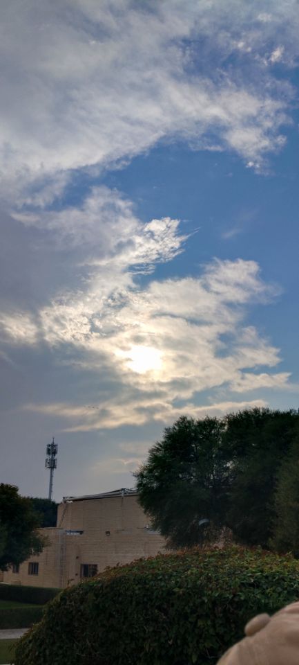 goodnovel comment avatar