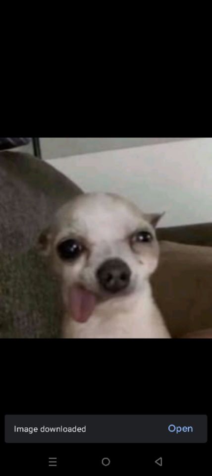 goodnovel comment avatar