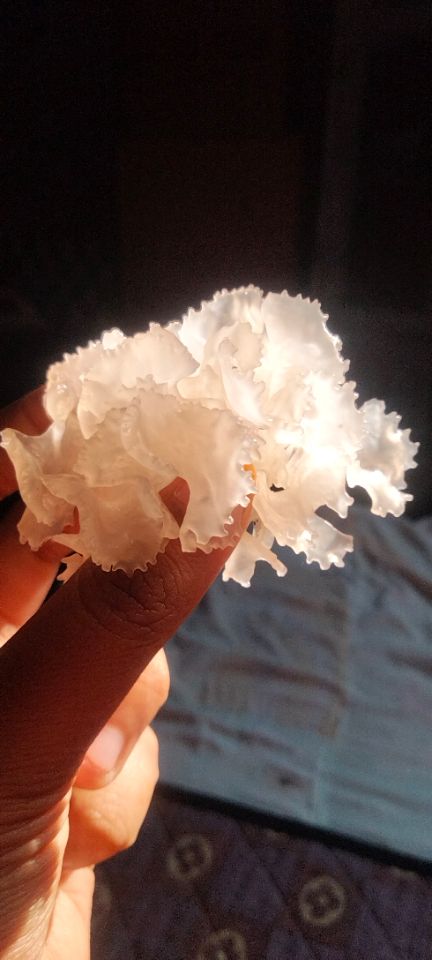 goodnovel comment avatar