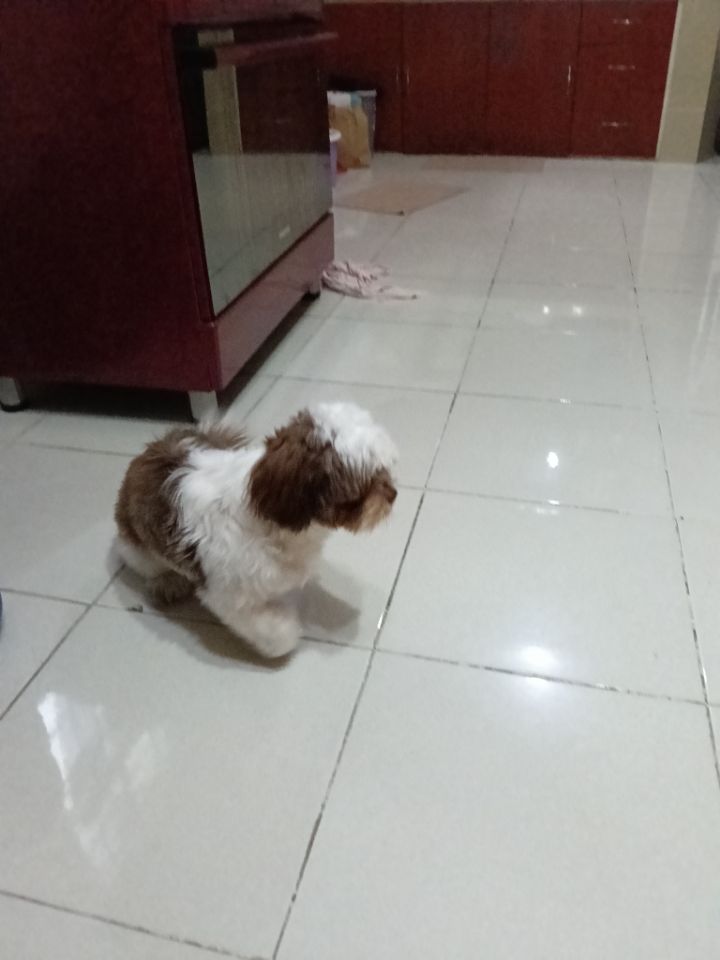 goodnovel comment avatar