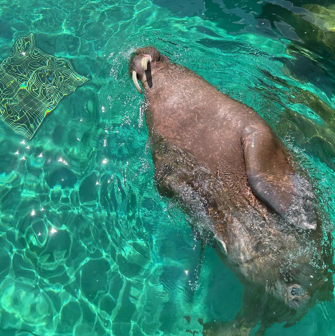 goodnovel comment avatar