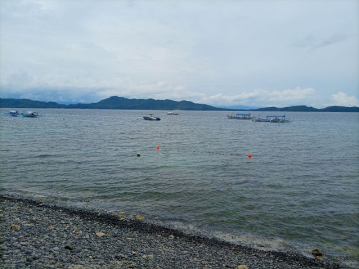 goodnovel comment avatar