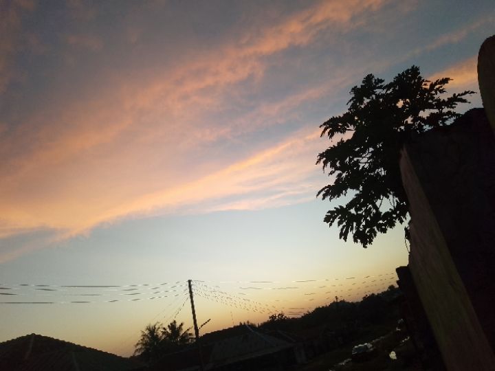 goodnovel comment avatar