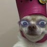 goodnovel comment avatar