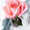 goodnovel comment avatar