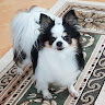 goodnovel comment avatar