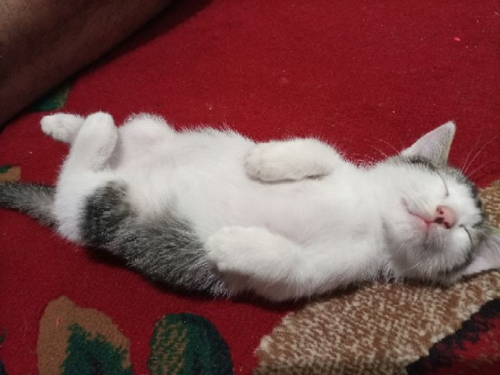 goodnovel comment avatar