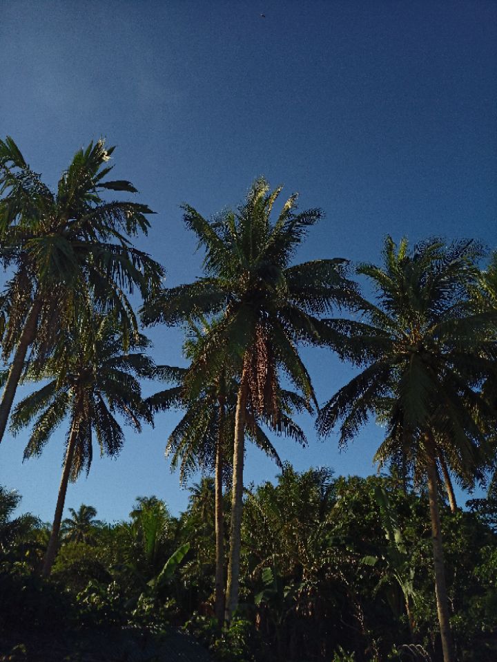 goodnovel comment avatar