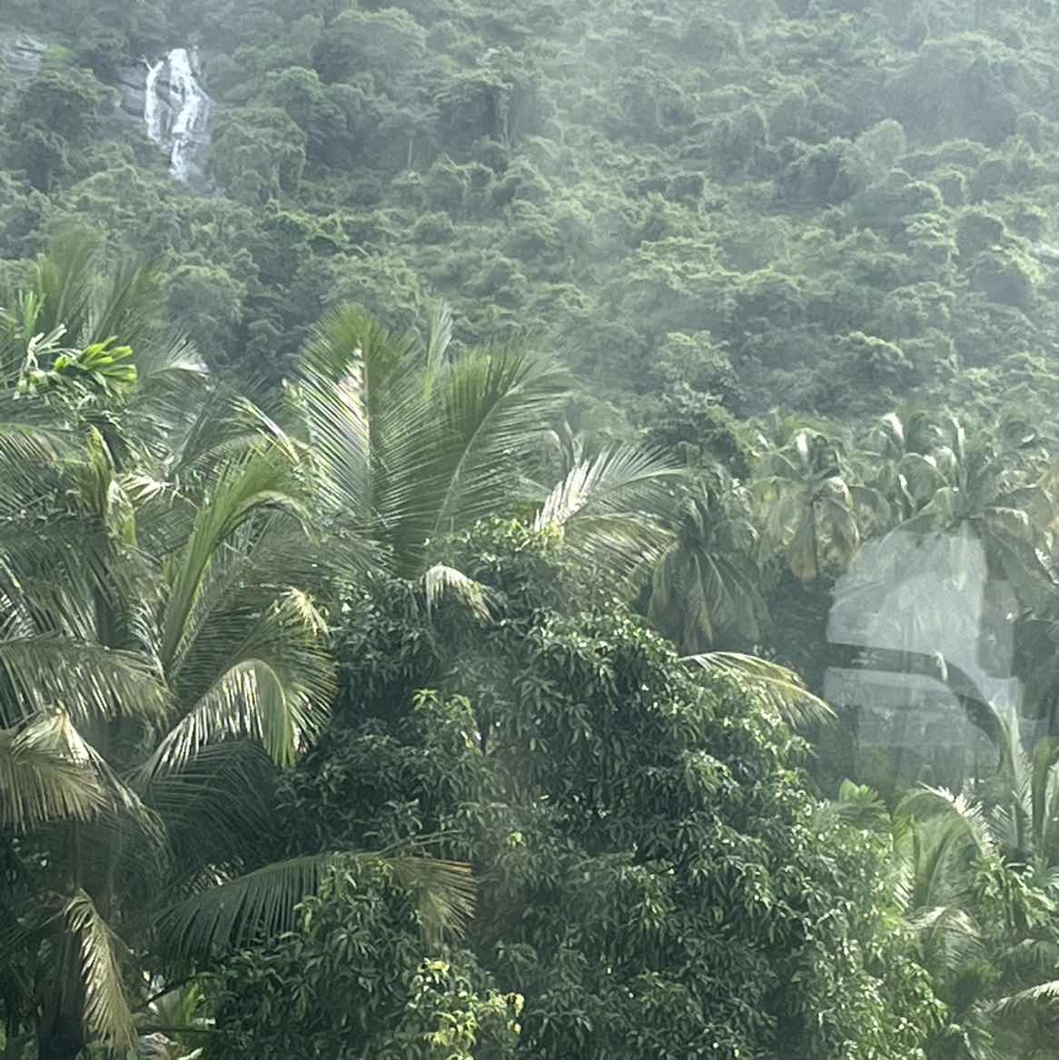 goodnovel comment avatar