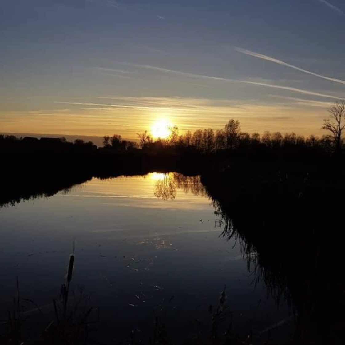 goodnovel comment avatar