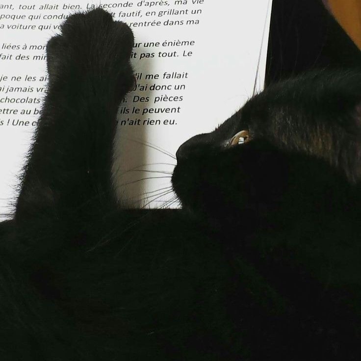 ปัดยิ้มหน่อย